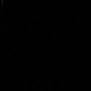 Meet your Posher, Peter